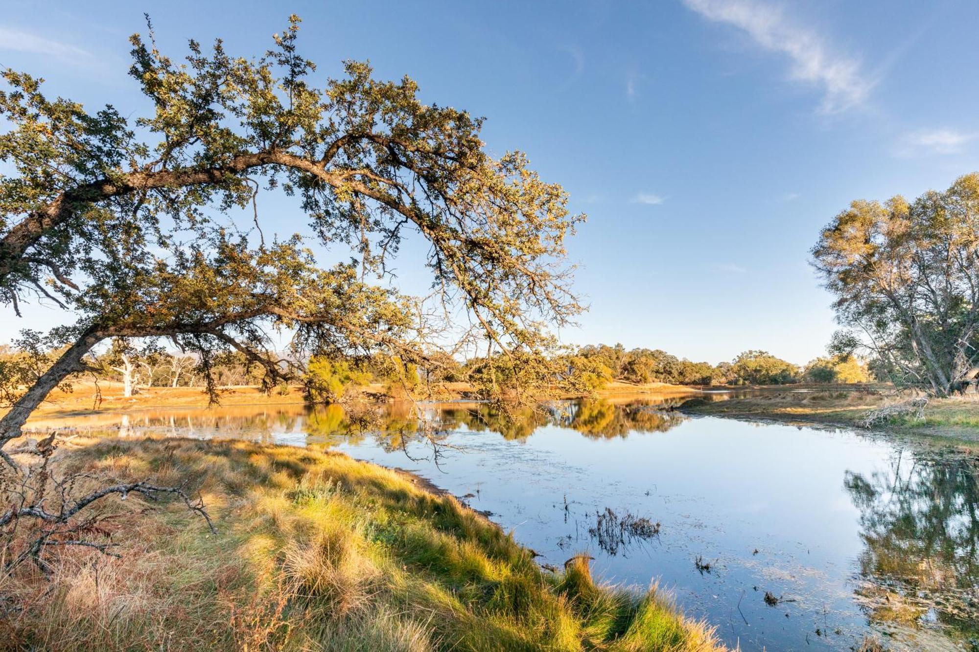 Rolling Oaks Ranch - 200 Acres Of Lakeside Beauty & Countryside Serenity Mariposa Luaran gambar