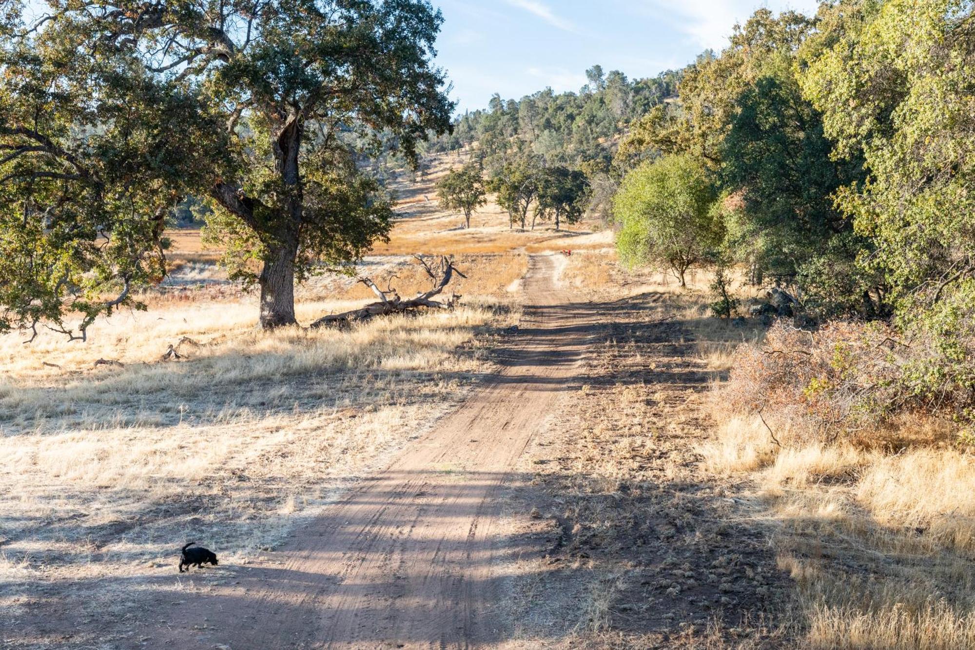 Rolling Oaks Ranch - 200 Acres Of Lakeside Beauty & Countryside Serenity Mariposa Luaran gambar
