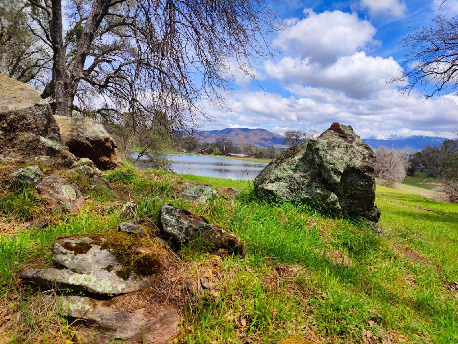 Rolling Oaks Ranch - 200 Acres Of Lakeside Beauty & Countryside Serenity Mariposa Luaran gambar