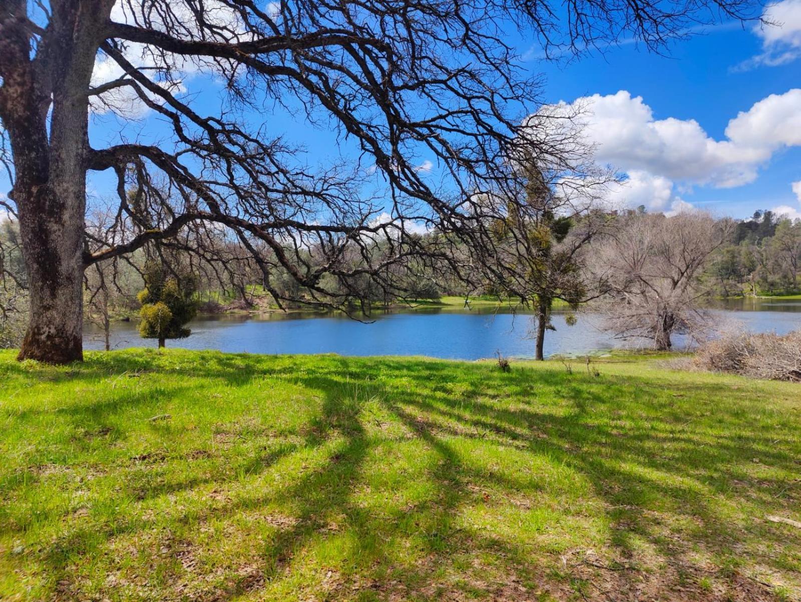 Rolling Oaks Ranch - 200 Acres Of Lakeside Beauty & Countryside Serenity Mariposa Luaran gambar